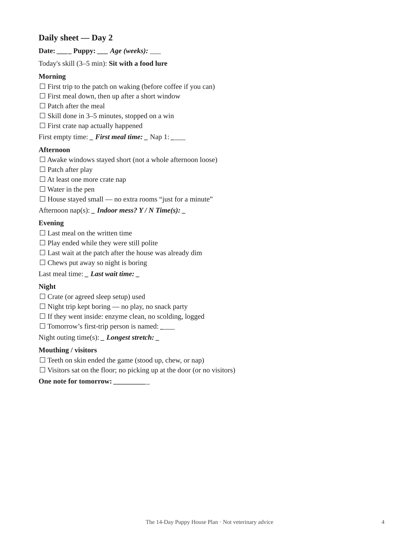 Daily checkbox sheet for Day 2, with morning through night blocks.